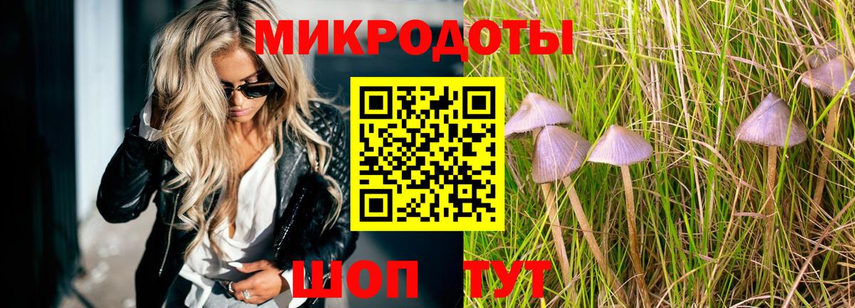 Калач-на-Дону  Галлюциногенные грибы Psilocybe  Вход с VPN 